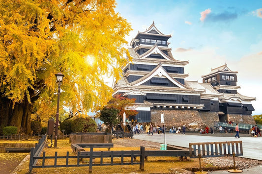 【2026熊本紅葉】銀杏城的秋天：熊本城大銀杏見頃、門票與市區賞秋半日路線