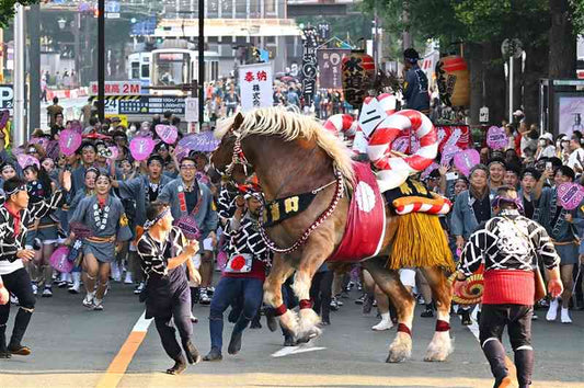 【2026熊本最大秋祭】藤崎八旛宮例大祭：馬追い時間、觀賞位置、交通管制與住宿攻略